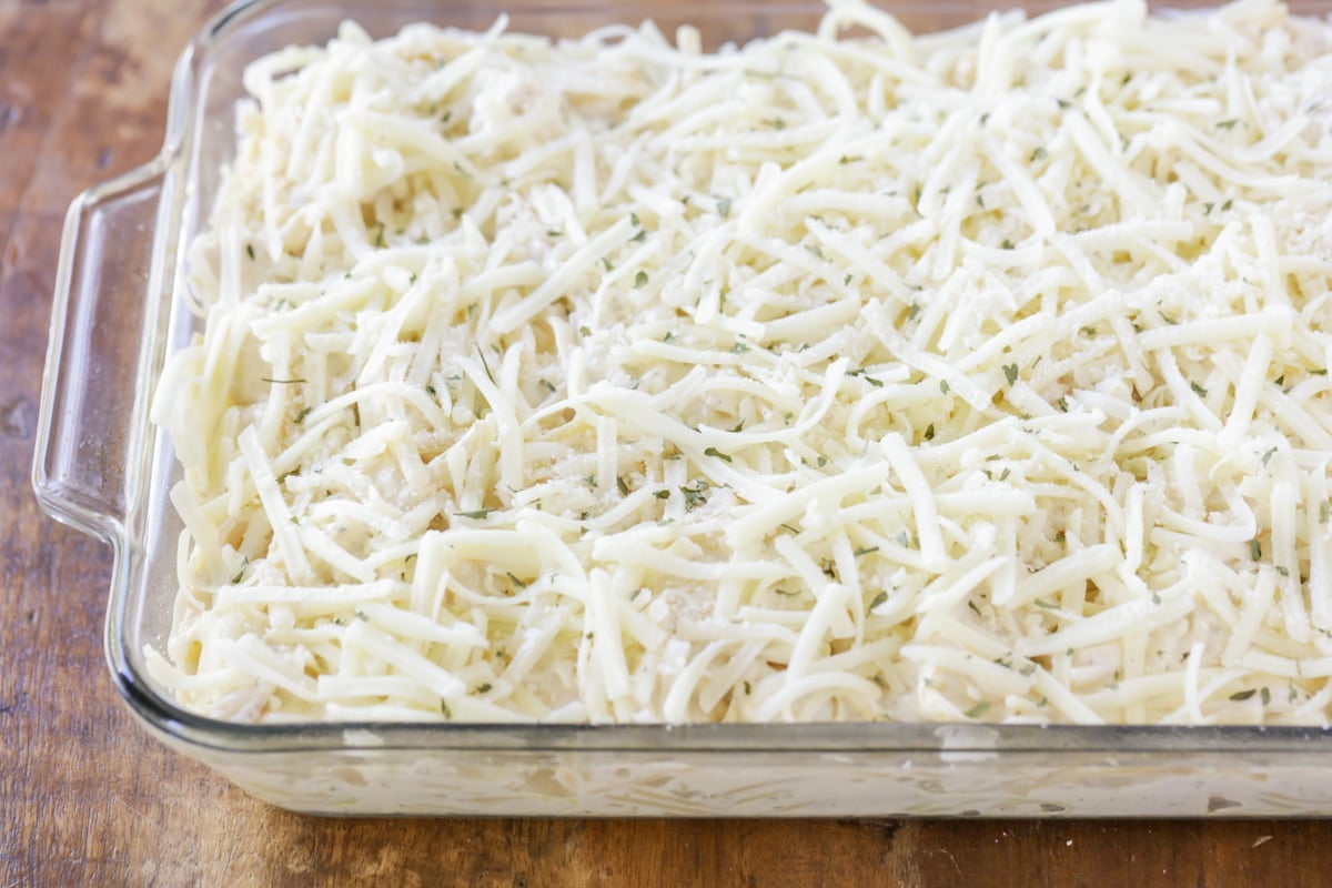 Easy, creamy, and utterly delicious cheesy chicken tetrazzini is a family favorite that takes minutes to prep! Noodles and chicken covered with cheese.