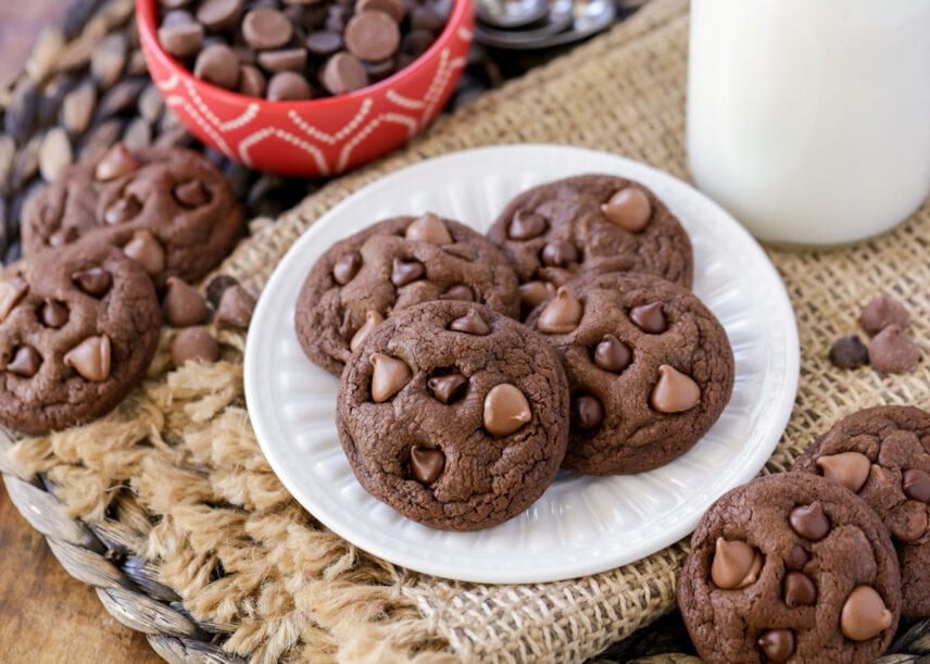 Double chocolate cookies on white plate.